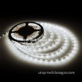 5M Waterproof LED Strip Light IR Remote Superbright 5050 SMD RGB 300 High Intensity Strip Light